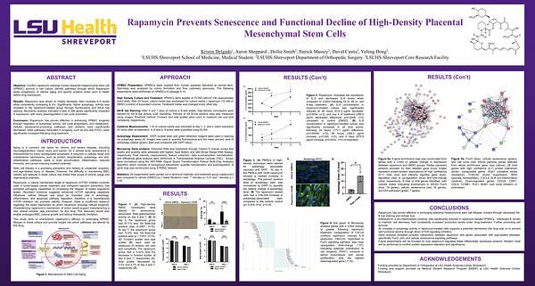 Rapamycin Prevents Senescence and Functional Decline of High-Density Placental Mesenchymal Stem Cells
