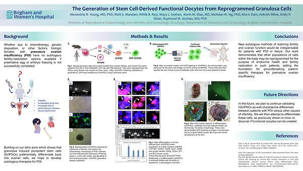 The Generation of Stem Cell-Derived Functional Oocytes from Reprogrammed Granulosa Cells