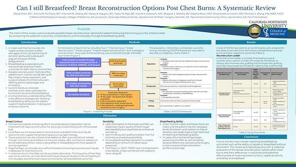 Can I still Breastfeed? Breast Reconstruction Options Post Chest Burns: A Systematic Review