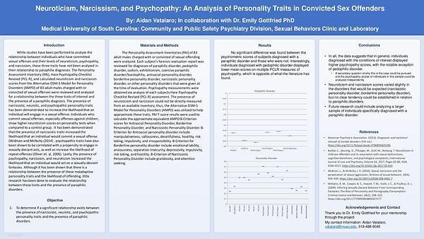 Neuroticism, Narcissism, and Psychopathy: An Analysis of Personality Traits in Convicted Sex Offenders