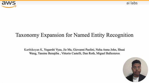 Taxonomy Expansion for Named Entity Recognition | VIDEO