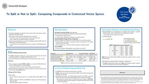 To Split or Not to Split: Composing Compounds in Contextual Vector Spaces | VIDEO