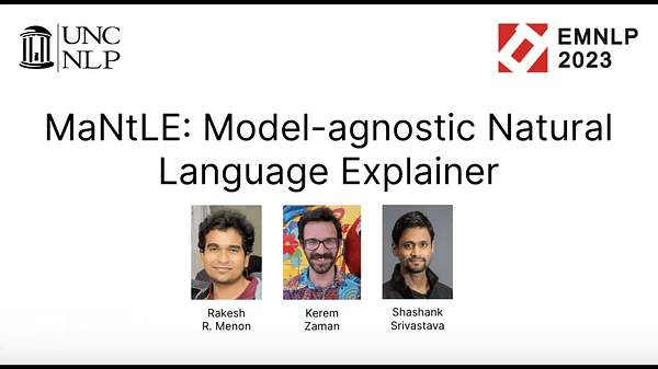 MaNtLE: Model-agnostic Natural Language Explainer | VIDEO