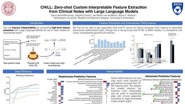 CHiLL: Zero-shot Custom Interpretable Feature Extraction from Clinical Notes with Large Language Models