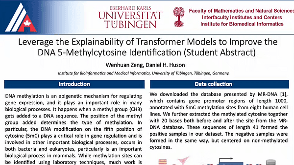 Leverage the Explainability of Transformer Models to Improve the DNA 5-Methylcytosine Identification (Student Abstract)