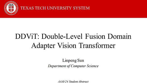 DDViT: Double-Level Fusion Domain Adapter Vision Transformer (Student Abstract)