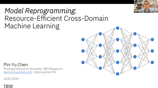 Model Reprogramming: Resource-Efficient Cross-Domain Machine Learning | VIDEO