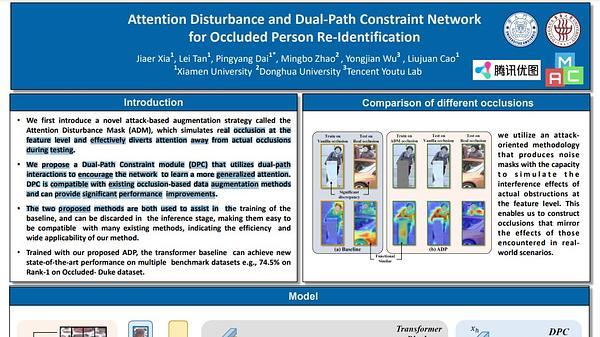 Attention Disturbance and Dual-Path Constraint Network for Occluded Person Re-identification