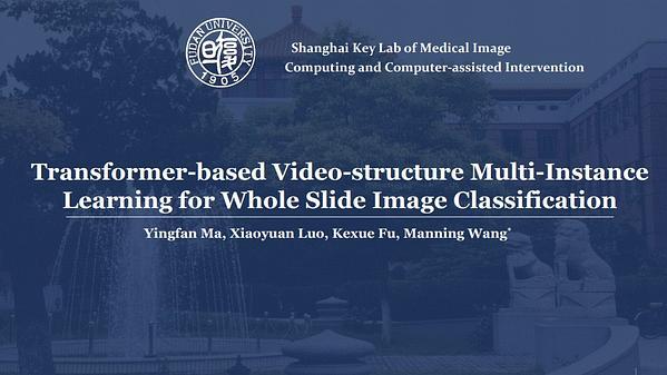 Transformer-Based Video-Structure Multi-Instance Learning for Whole Slide Image Classification