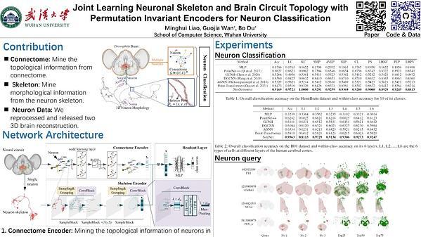 Joint Learning Neuronal Skeleton and Brain Circuit Topology with Permutation Invariant Encoders for Neuron Classification