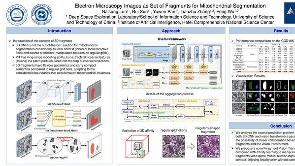 Electron Microscopy Images as Set of Fragments for Mitochondrial Segmentation