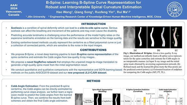 B-spine: Learning B-spline Curve Representation for Robust and Interpretable Spinal Curvature Estimation