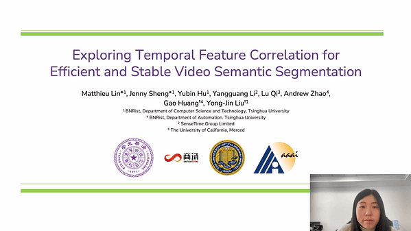 Exploring Temporal Feature Correlation for Efficient and Stable Video Semantic Segmentation
