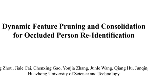 Dynamic Feature Pruning and Consolidation for Occluded Person Re-identification | VIDEO