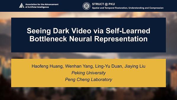 Seeing Dark Videos via Self-Learned Bottleneck Neural Representation