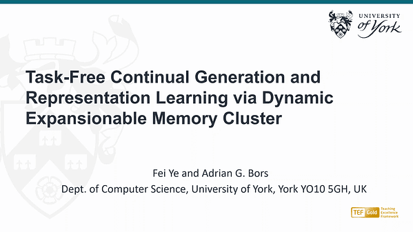 Task-Free Continual Generation and Representation Learning via Dynamic Expansionable Memory Cluster