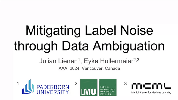 Mitigating Label Noise through Data Ambiguation
