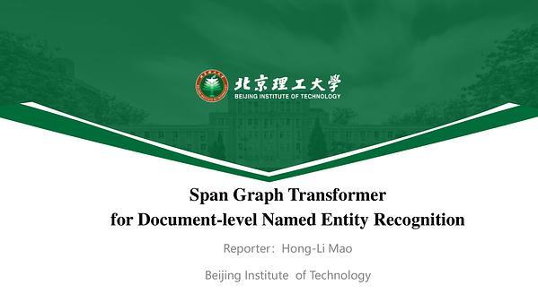 Span Graph Transformer for Document-Level Named Entity Recognition