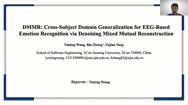 DMMR: Cross-Subject Domain Generalization for EEG-Based Emotion Recognition via Denoising Mixed Mutual Reconstruction