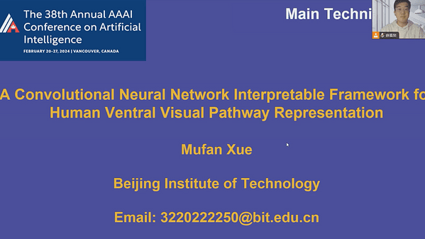 A Convolutional Neural Network Interpretable Framework for Human Ventral Visual Pathway Representation