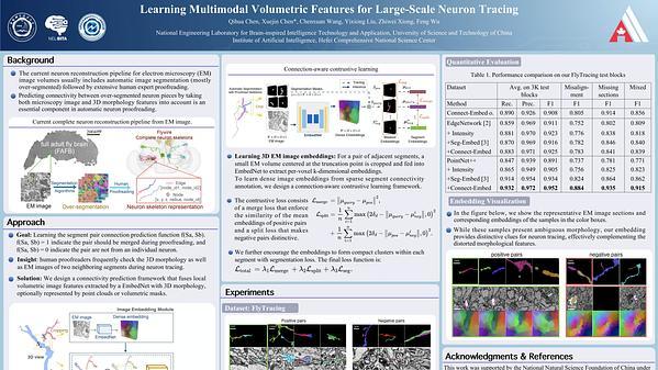 Learning Multimodal Volumetric Features for Large-Scale Neuron Tracing