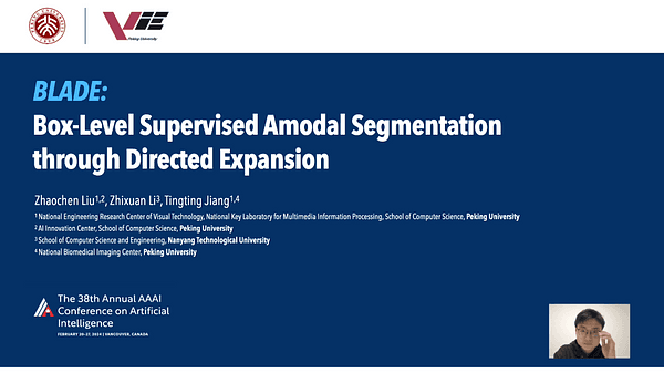 BLADE: Box-Level Supervised Amodal Segmentation through Directed Expansion