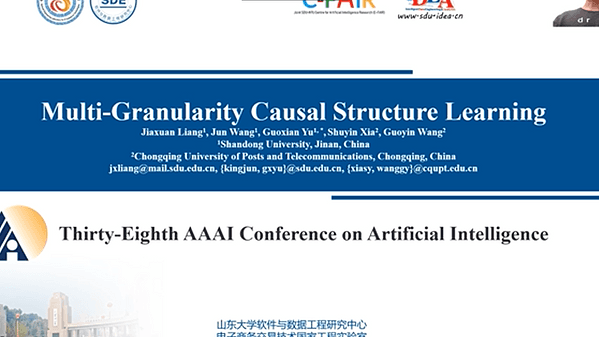 Multi-Granularity Causal Structure Learning