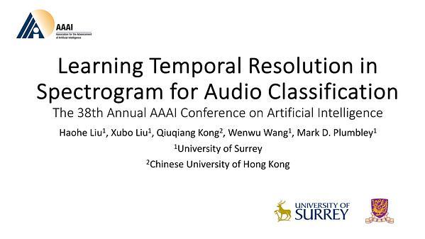 Learning Temporal Resolution in Spectrogram for Audio Classification