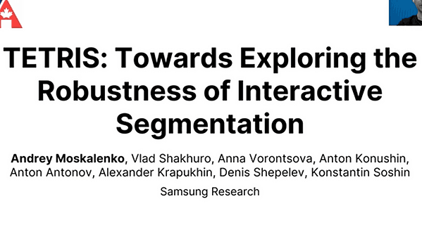 TETRIS: Towards Exploring the Robustness of Interactive Segmentation | VIDEO