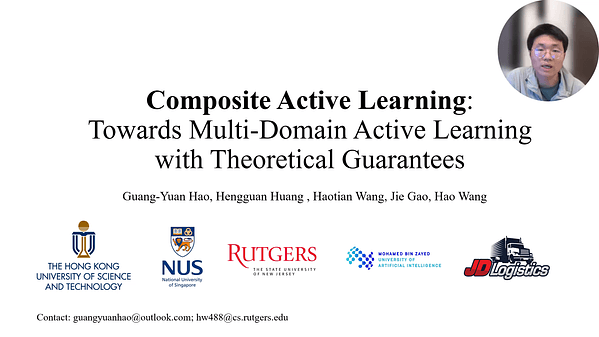 Composite Active Learning: Towards Multi-Domain Active Learning with Theoretical Guarantees | VIDEO