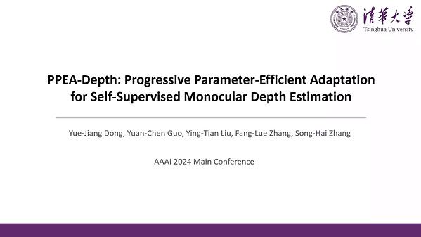 PPEA-Depth: Progressive Parameter-Efficient Adaptation for Self-Supervised Monocular Depth Estimation