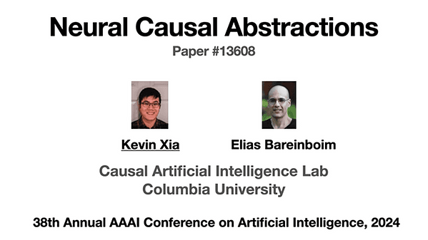 Neural Causal Abstractions | VIDEO