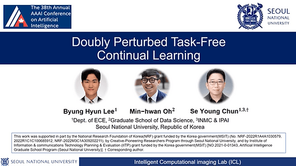 Doubly Perturbed Task Free Continual Learning