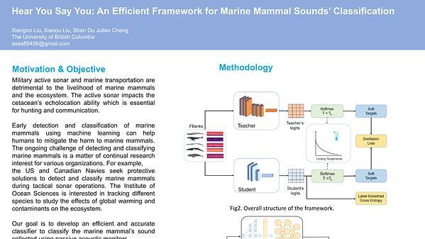 Hear You Say You: An Effcient Framework for Marine Mammal Sounds’ Classification