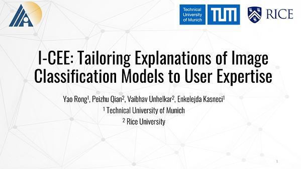 I-CEE: Tailoring Explanations of Image Classifications Models to User Expertise