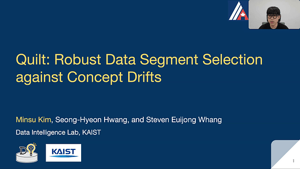 Quilt: Robust Data Segment Selection against Concept Drifts