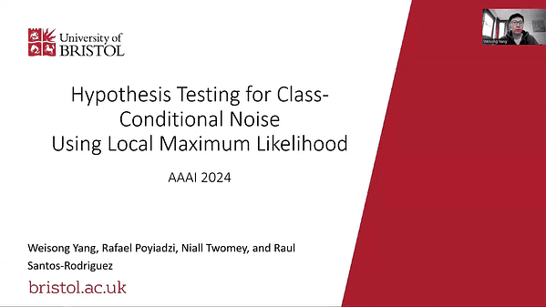 Hypothesis Testing for Class-Conditional Noise Using Local Maximum Likelihood