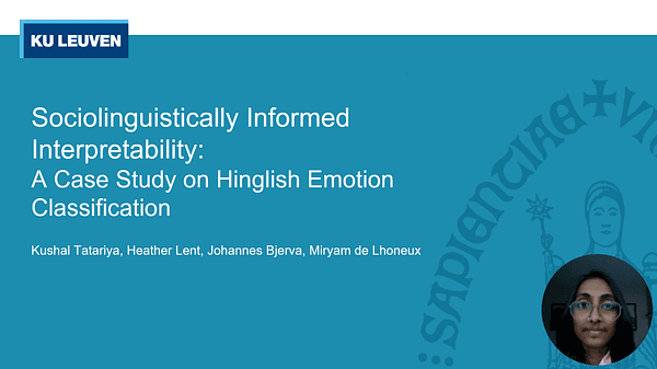 Sociolinguistically Informed Interpretability: A Case Study on Hinglish Emotion Classification