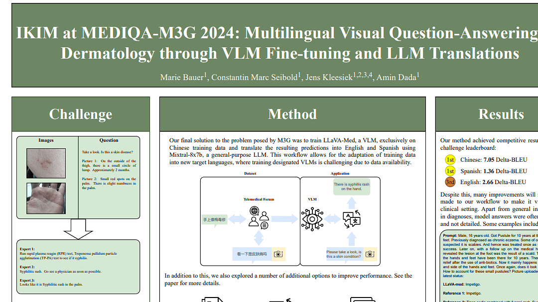 Underline IKIM at MEDIQAM3G 2024 Multilingual Visual Question