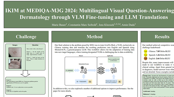 IKIM at MEDIQA-M3G 2024: Multilingual Visual Question-Answering for Dermatology through VLM Fine-tuning and LLM Translations