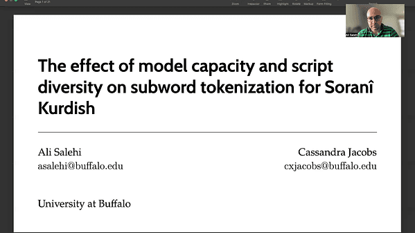 The Effect of Model Capacity and Script Diversity on Subword Tokenization for Sorani Kurdish