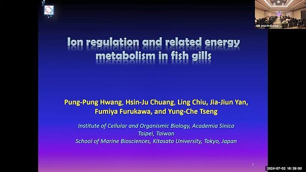 Ion regulation and related energy metabolism in fish gills