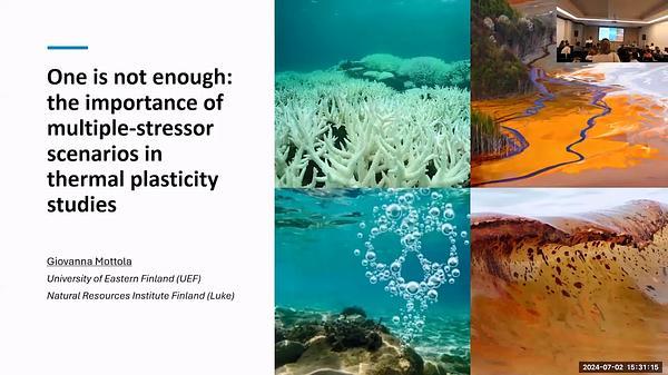 One is not enough: the importance of multiple-stressor scenarios in thermal plasticity studies