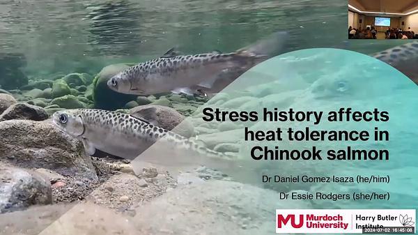Stress history affects heat tolerance in an aquatic ectotherm (Chinook salmon,Oncorhynchus tshawytscha)