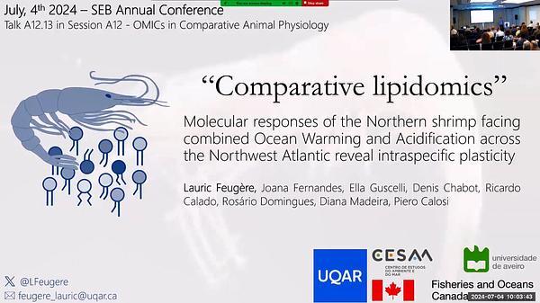 Molecular Responses of the Northern shrimp facing combined Ocean Warming and Acidification across the Northwest Atlantic Reveal Intraspecific Plasticity