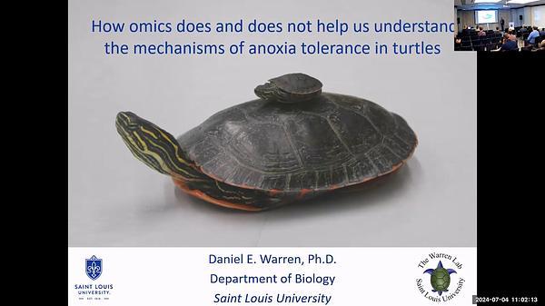 How 'omics' does and does not help us understand the mechanisms of anoxia tolerance in turtles