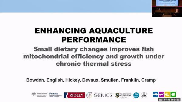 Enhancing mitochondrial efficiency: small dietary changes improve fish growth under chronic thermal stress