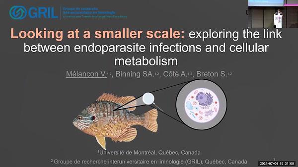 Looking at a smaller scale: exploring the link between endoparasite infections and cellular metabolism