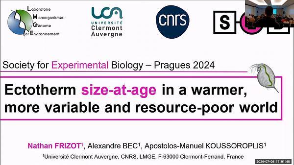 Ectotherm size-at-age in a warmer, more variable and resource-poor world
