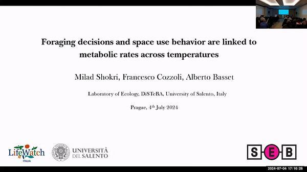 Foraging decisions and space use behavior are linked to metabolic rate across temperatures